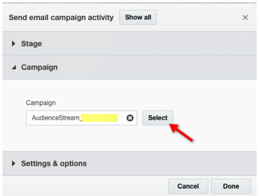 screenshot of responsys campaign selector